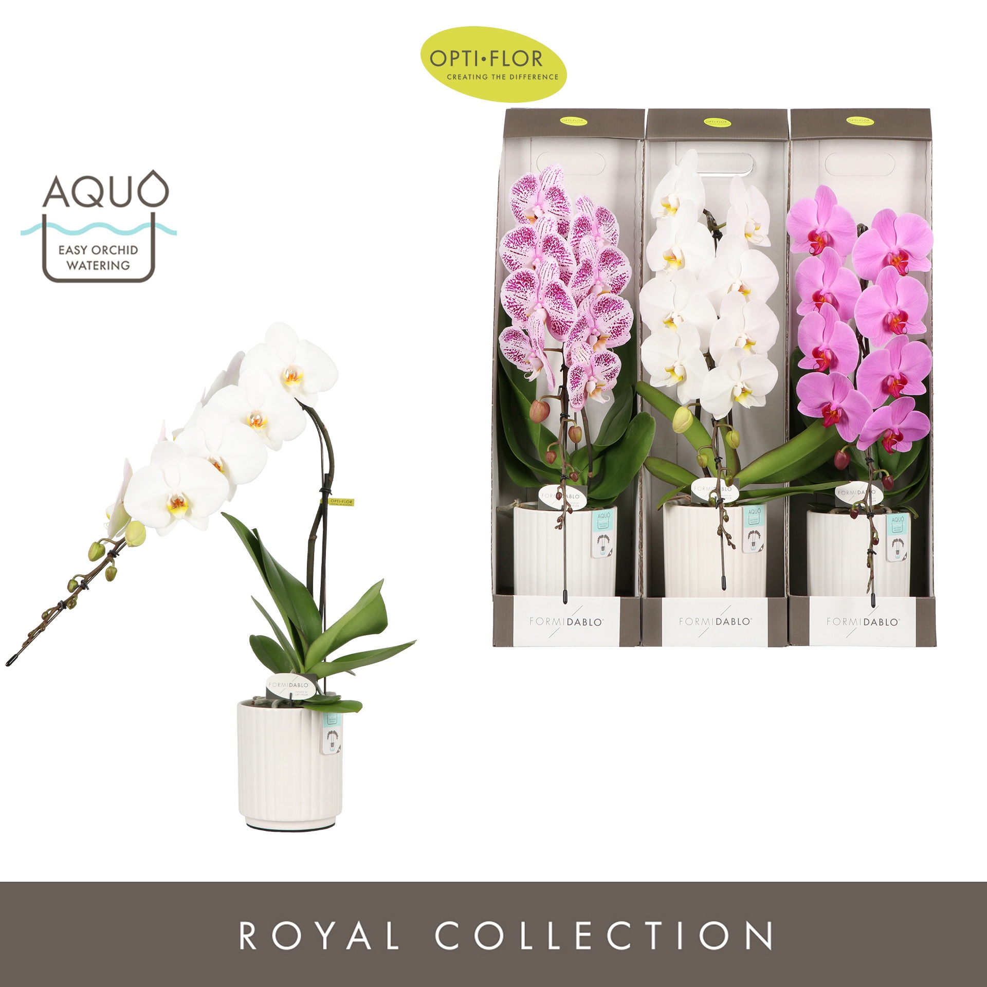 Formidablo Mix in Molise White Aquo Showdoos, D 12