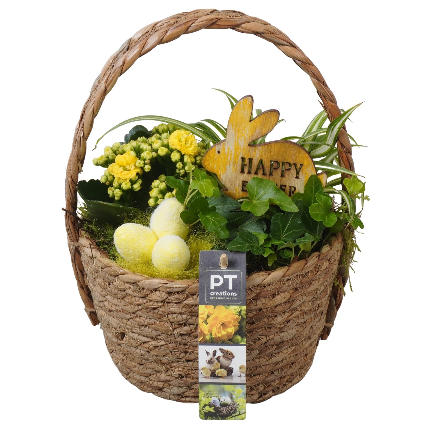 PTPB6546 Arrangement Easter in rieten mand, D 18