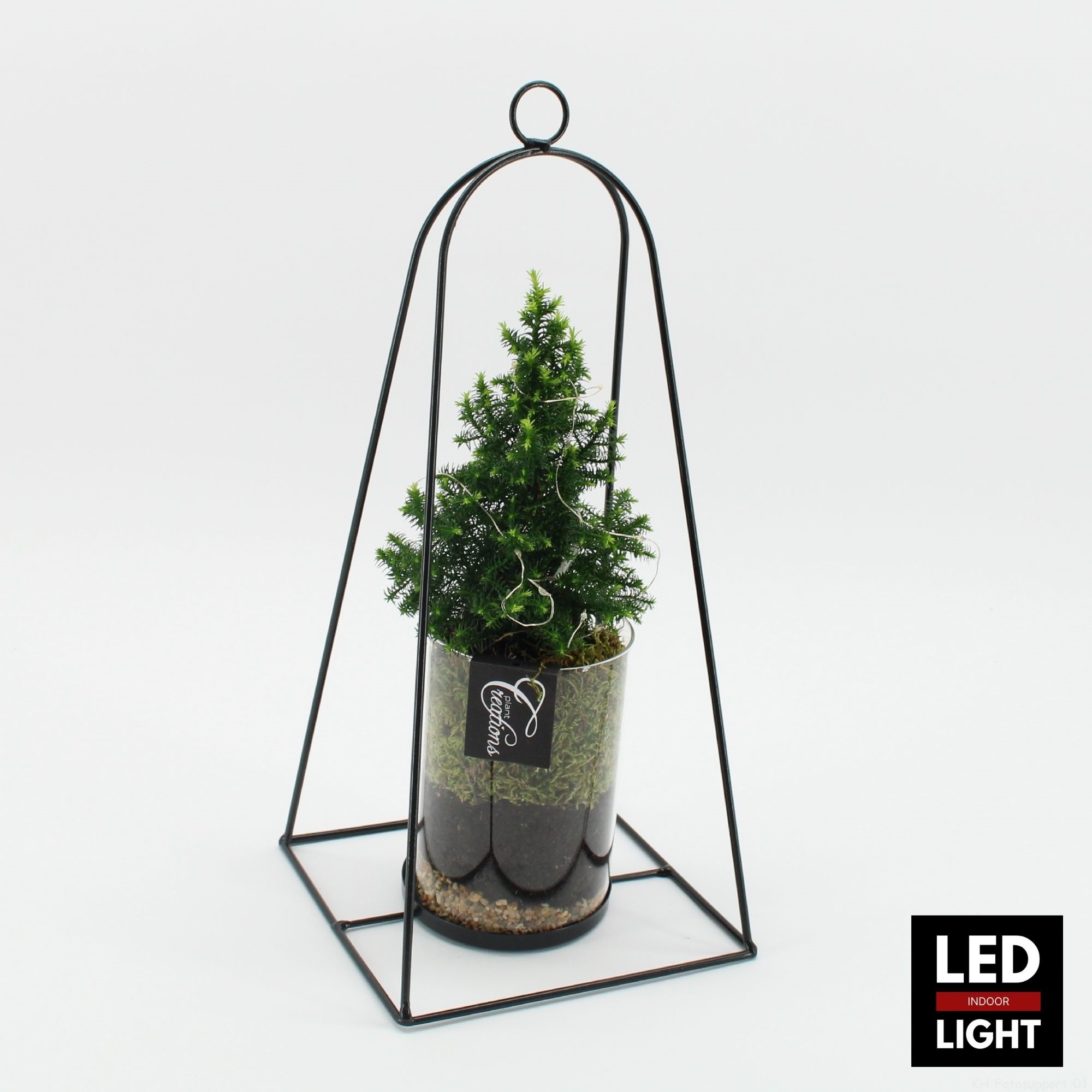 XMAS-25310LED Kerst creatie, D 19 cm XMAS-25310LED Kerst creatie, D 19 cm