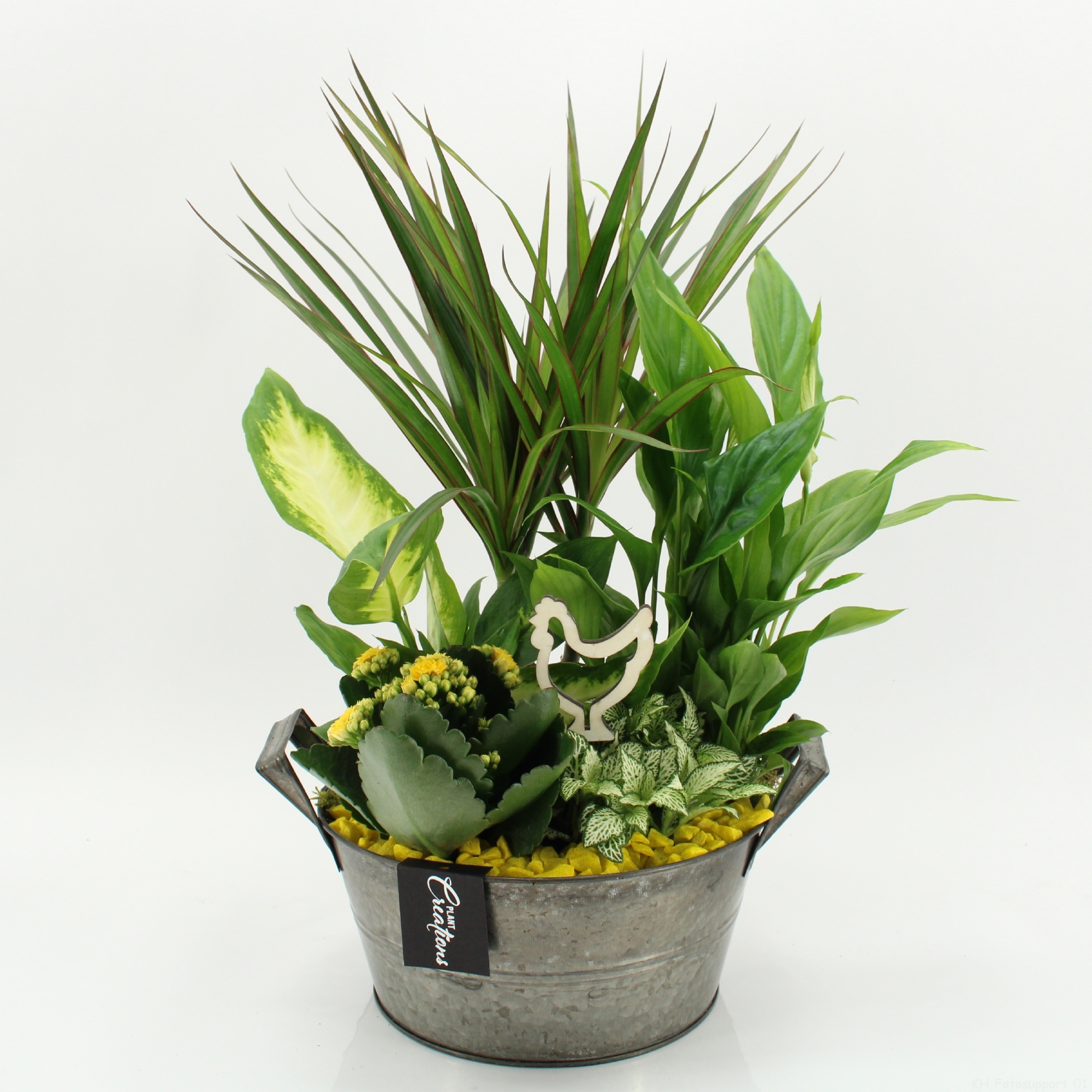 FDPS-2615 Easter Fundamentals, D 23