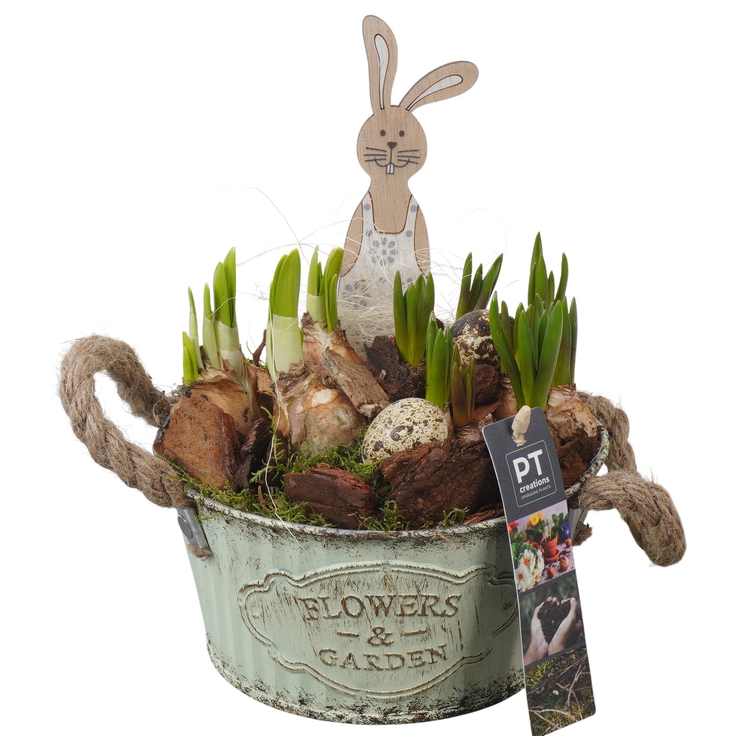 PTBMP5662 Arrangement Easter Bulbs Mix in zink pot, D 16
