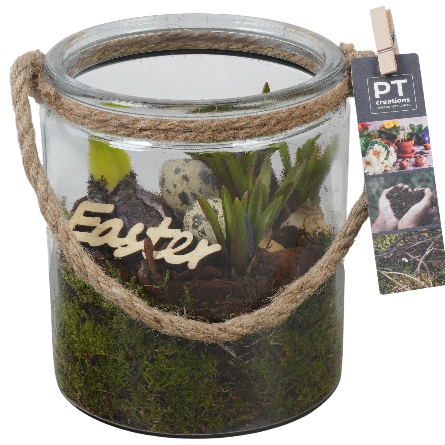 PTBMP5753 Arrangement Easter Bulbs Mix in glazen vaas, D 14