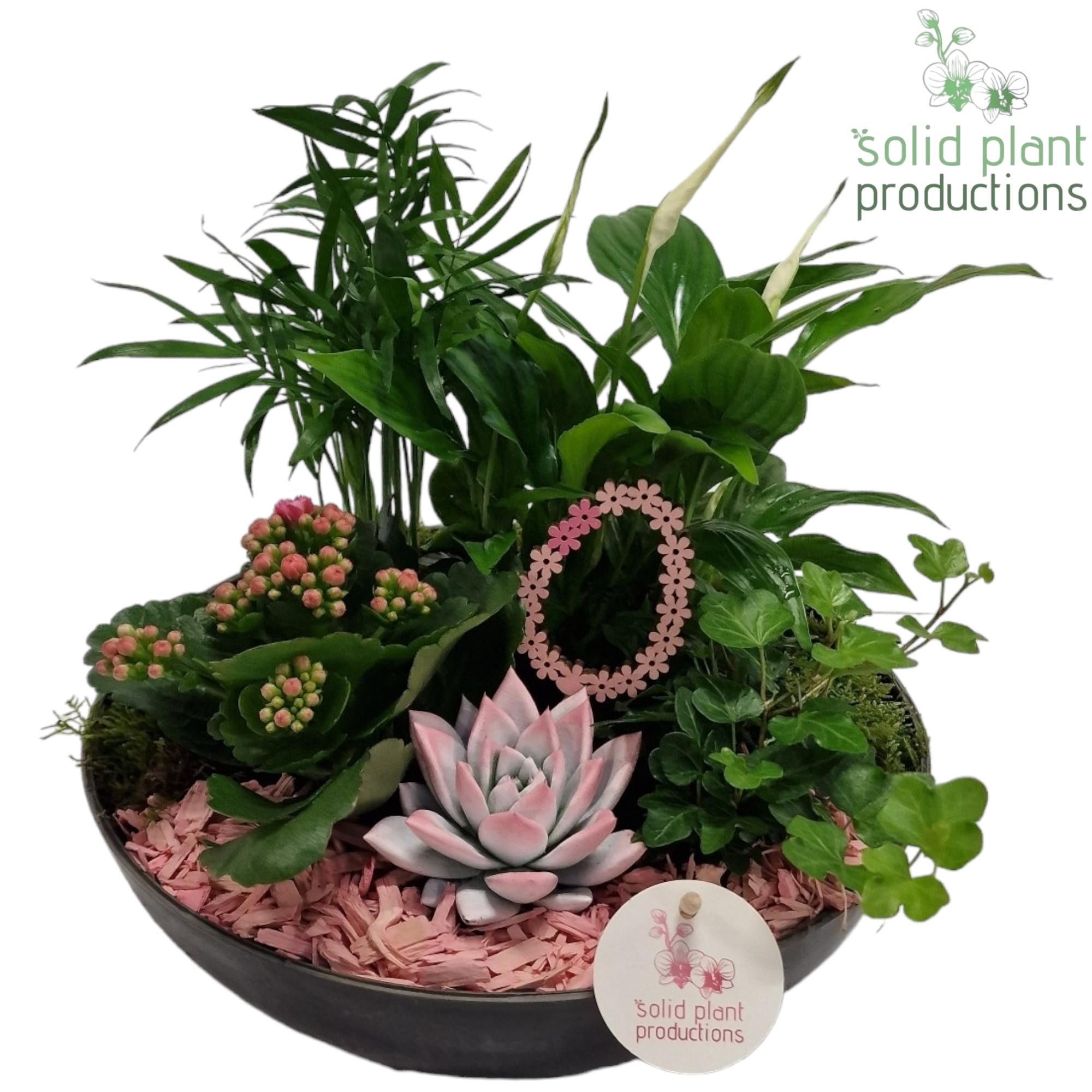 SCE011 Artstone Easter Pink, D 30