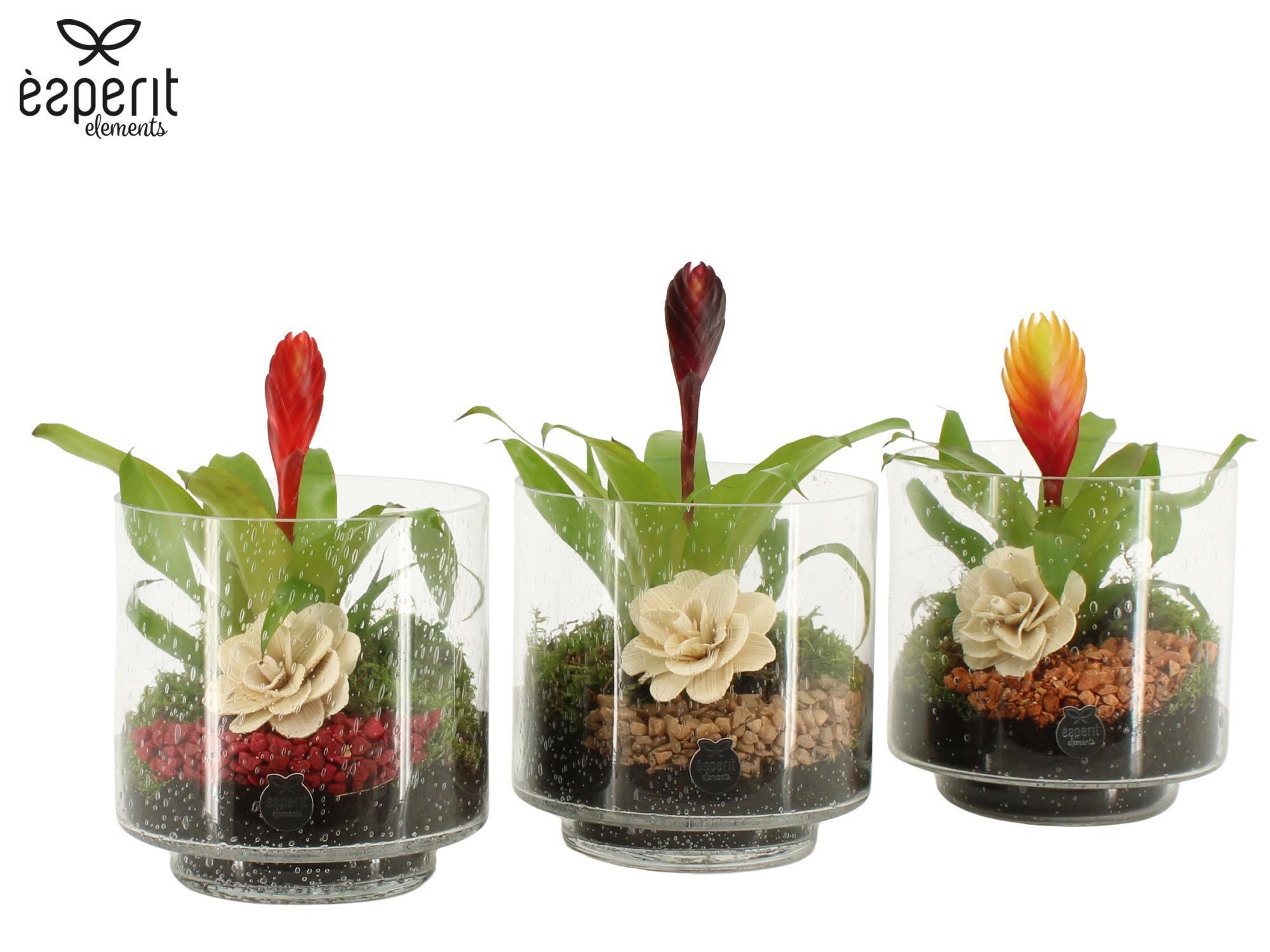 41826: Recreate arrangement, D 15