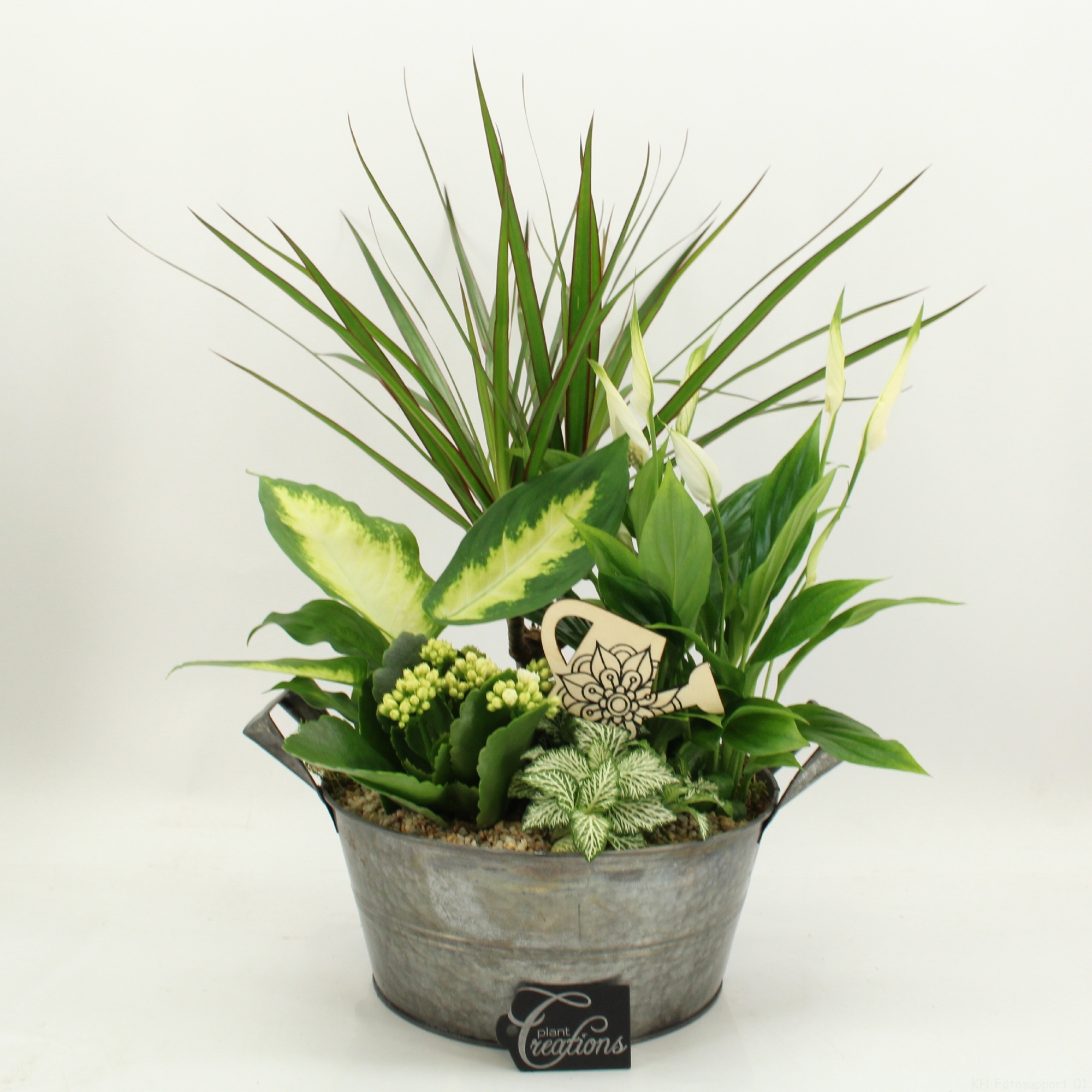 FDCR-2615W Basic Fundamentals, D 23