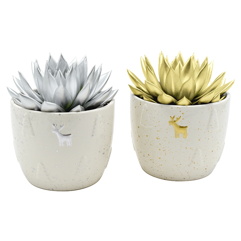 Miranda coloured mix in Xmas Roo ceramics, D 12