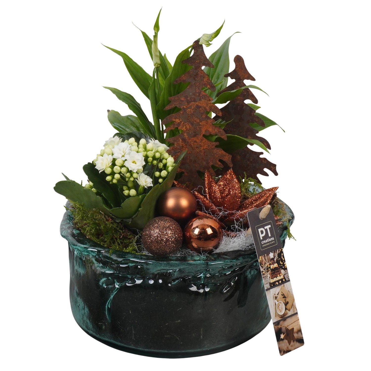 PTCHB9848 Arrangement Christmas Bronze in glas schaal, D 18 cm