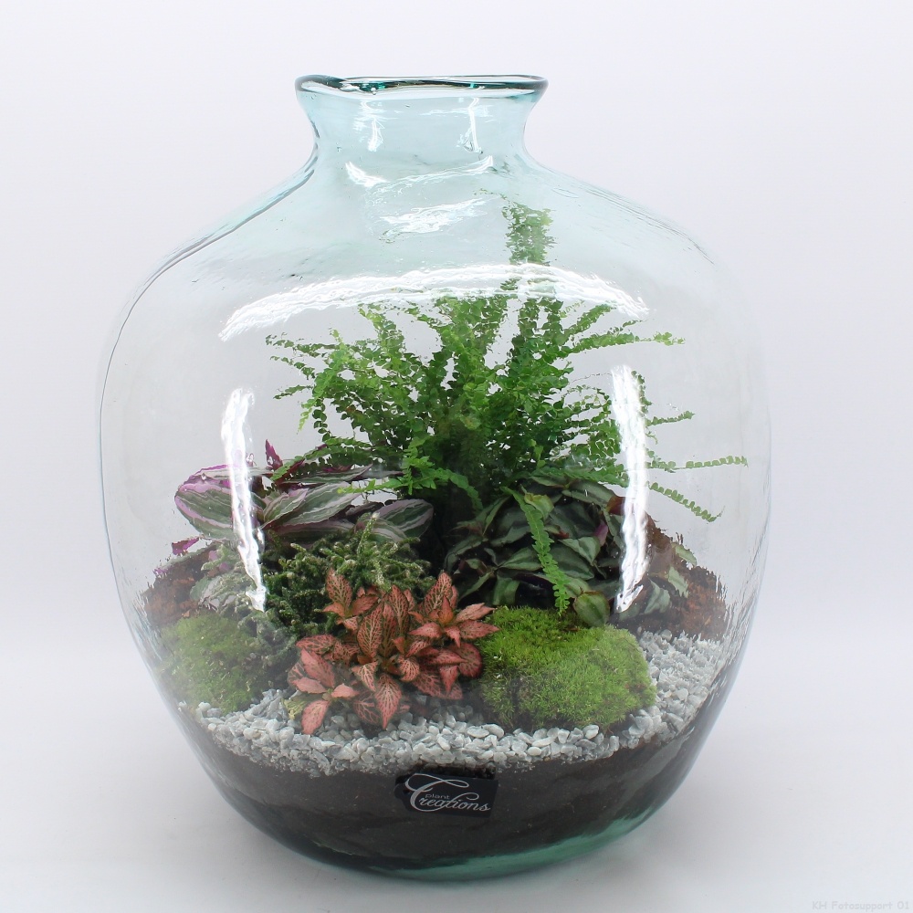 GRCR-2616 Green Essentials terrarium, D 45
