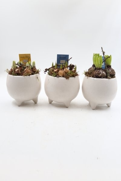 Bollen, keramiek bol wit; mix, D 14