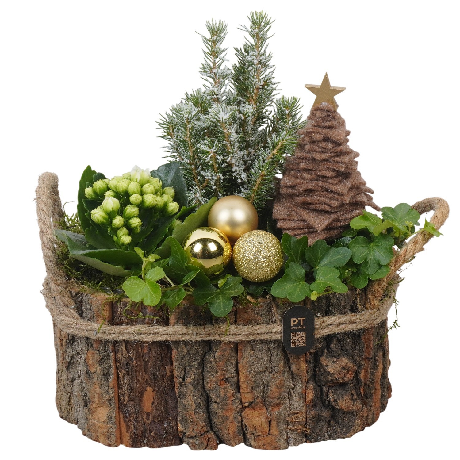 PTCHG4701 Arrangement Christmas Gold in houten bak, D 21