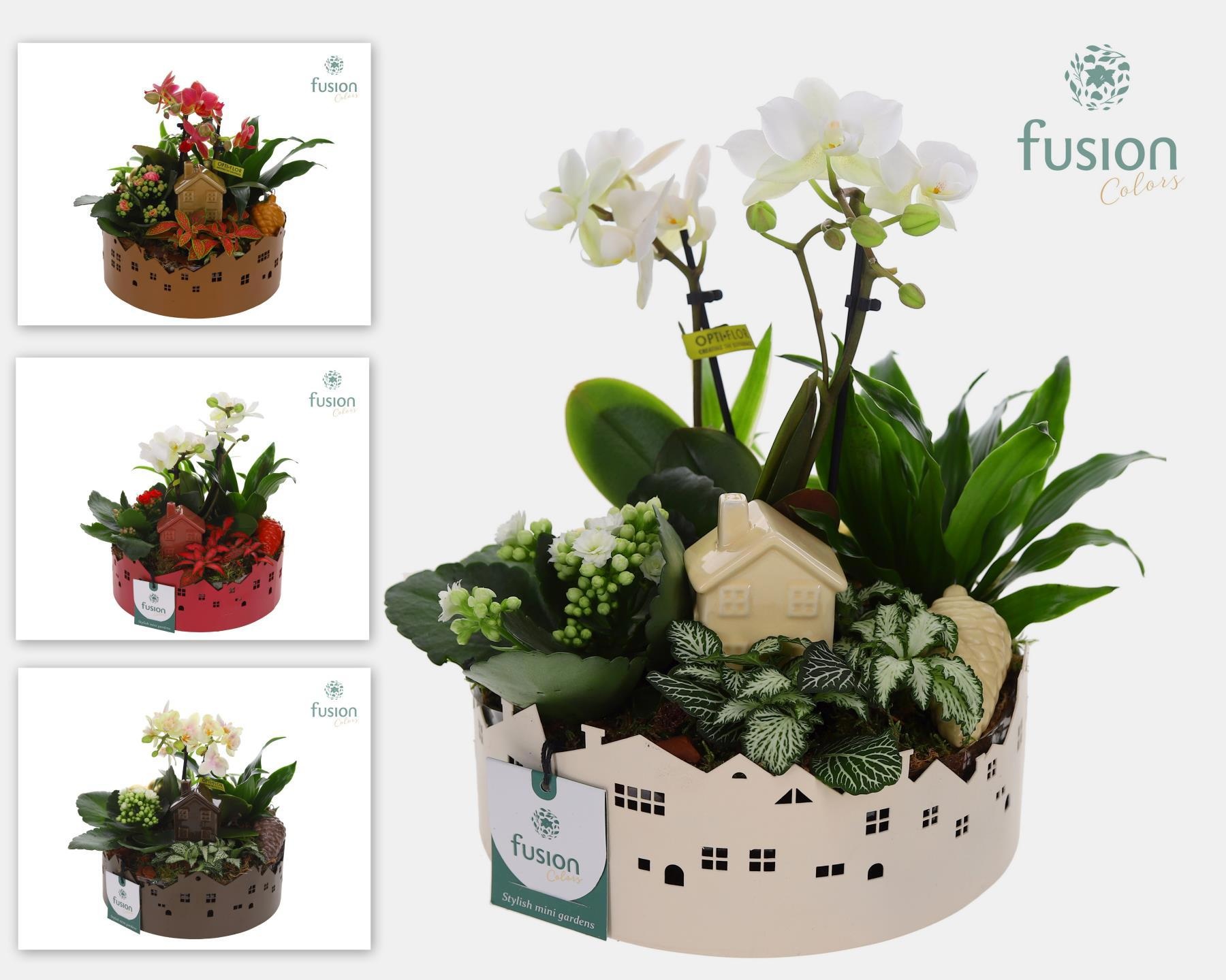 Zinken schaal Huisjes Medium met arrangement, D 19 cm