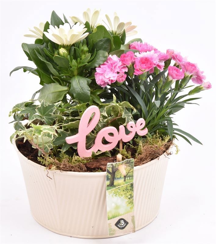 Zink schaal ribbel creme 18cm, D 18