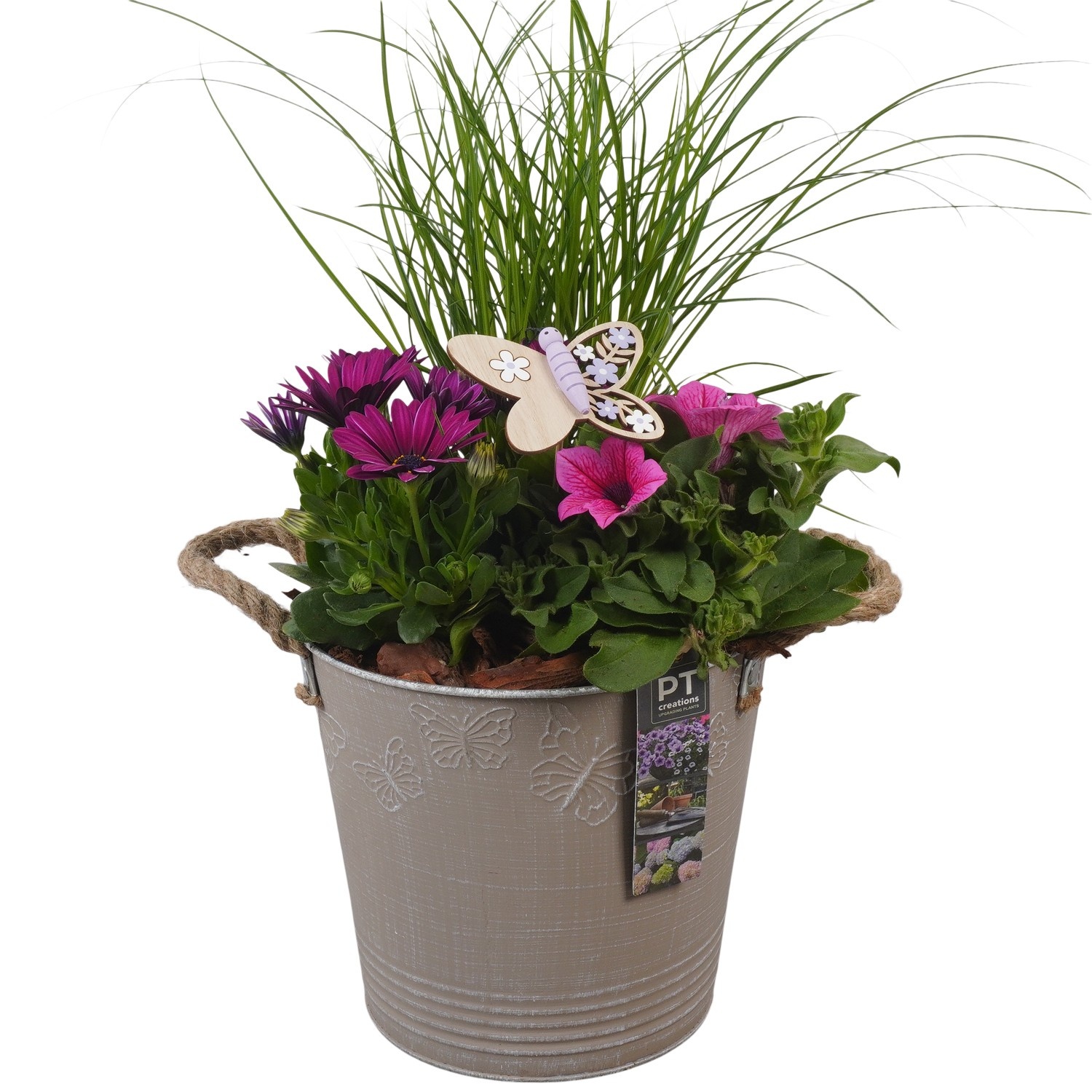 PTPP6822 Arrangement Patio in metalen bak, D 19