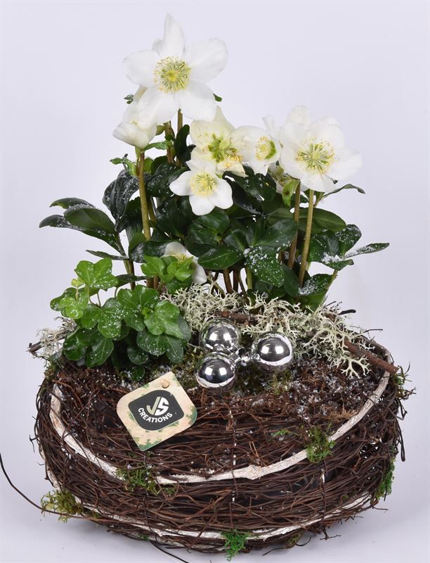 Natuur krans 26cm, D 26 cm