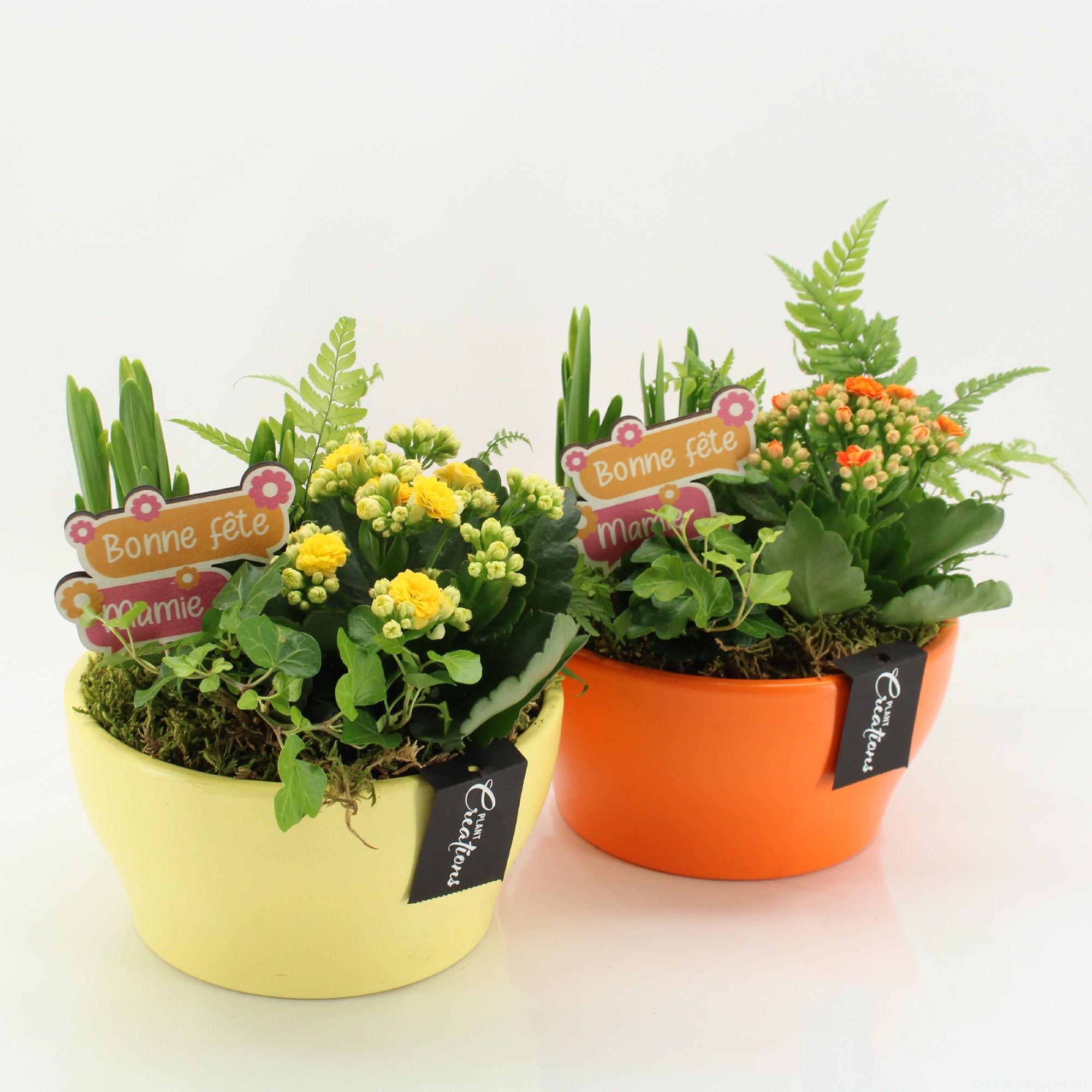 FGCR-2603M Fête des grands-mères, D 19