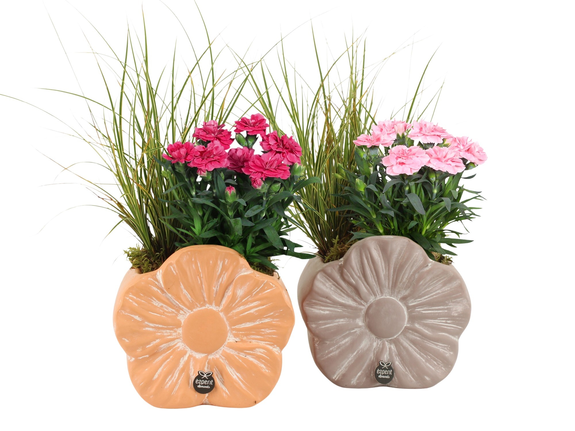 31693: Outdoor summer arrangement, D 17