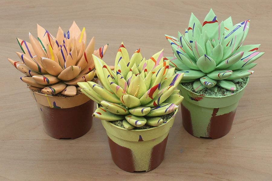 Miranda coloured Splash Easter mix, D 8,5