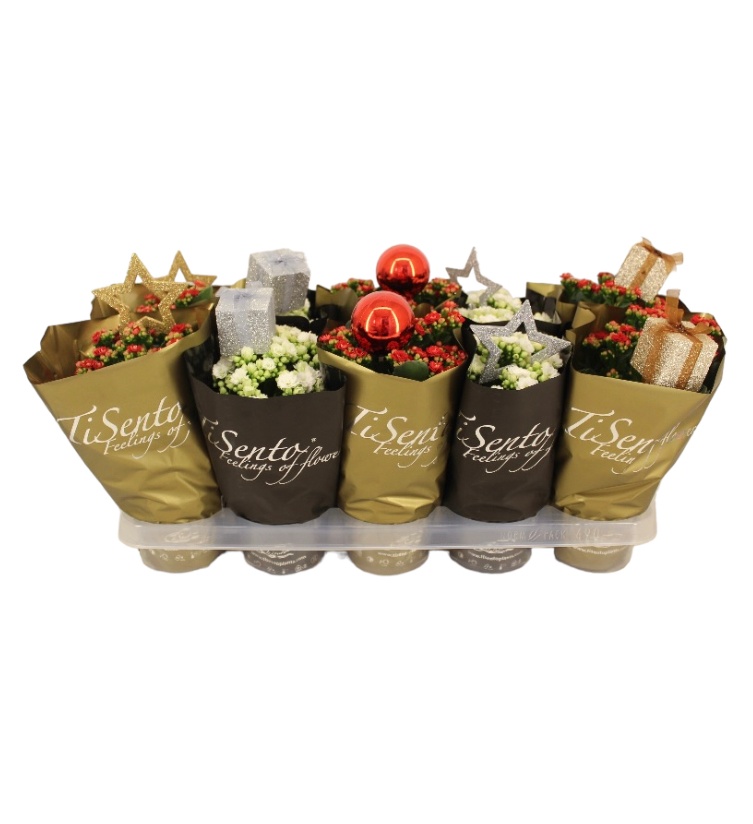 Calandiva 12 cm - Kerstmix Goud/Zwart, D 12