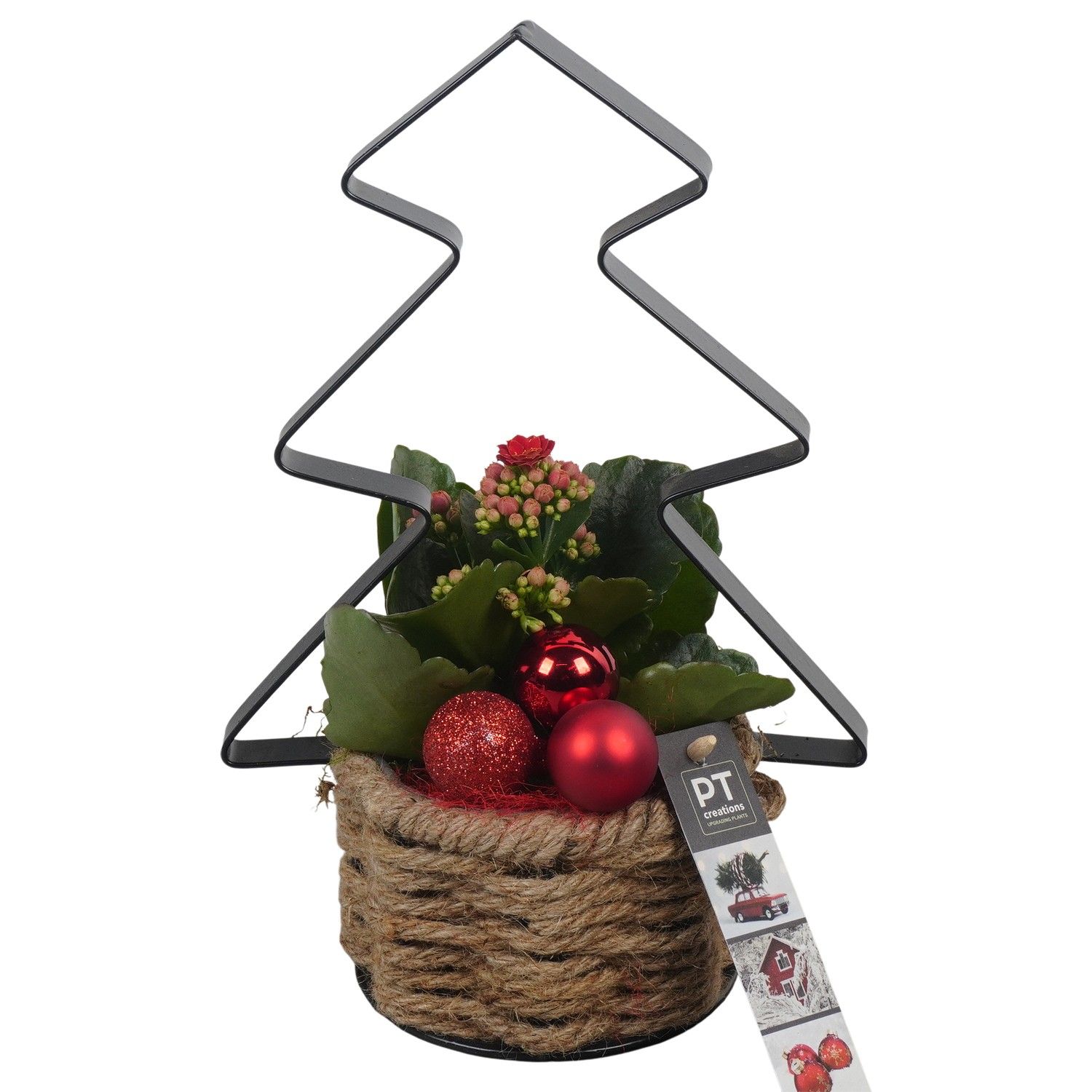 PTCHR7365 Arrangement Christmas Red in touw mand met metaal, D 11 cm