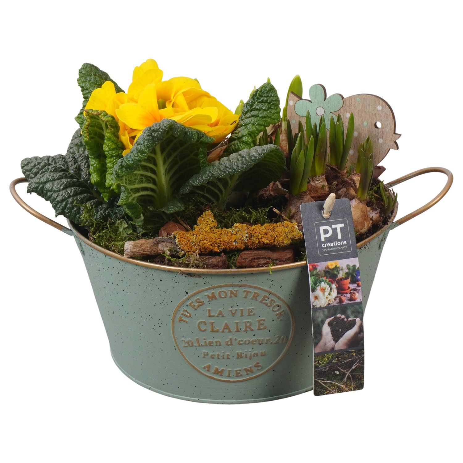 PTBM3747 Arrangement Flower Bulbs Mix in metalen pot, D 20