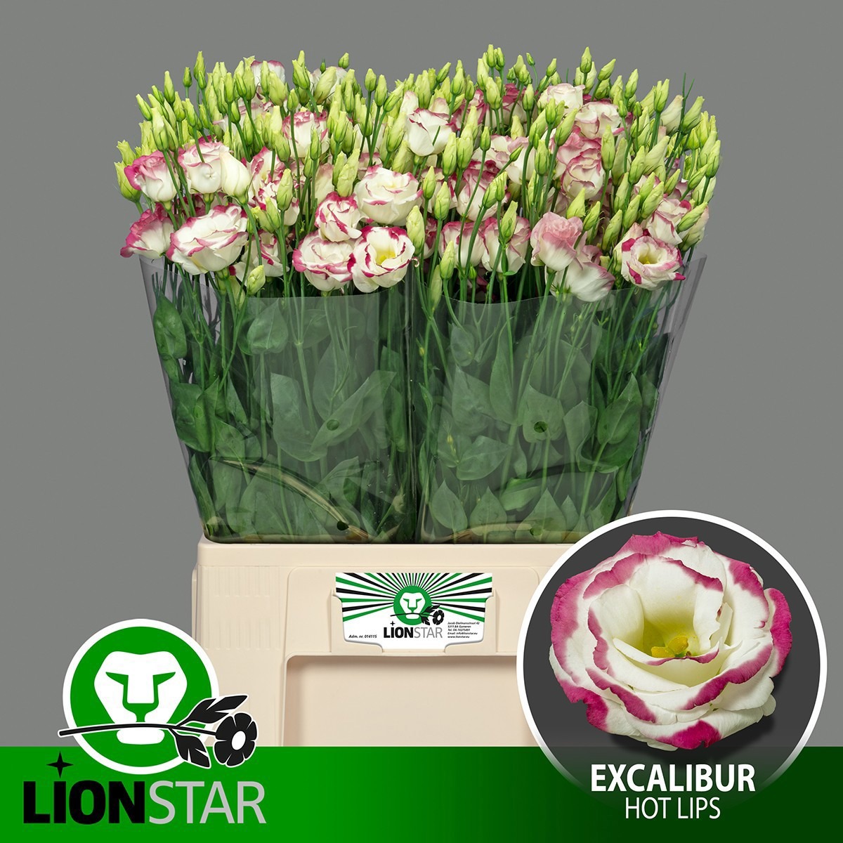 Эустома Экскалибур Хот Липс 60, шт.