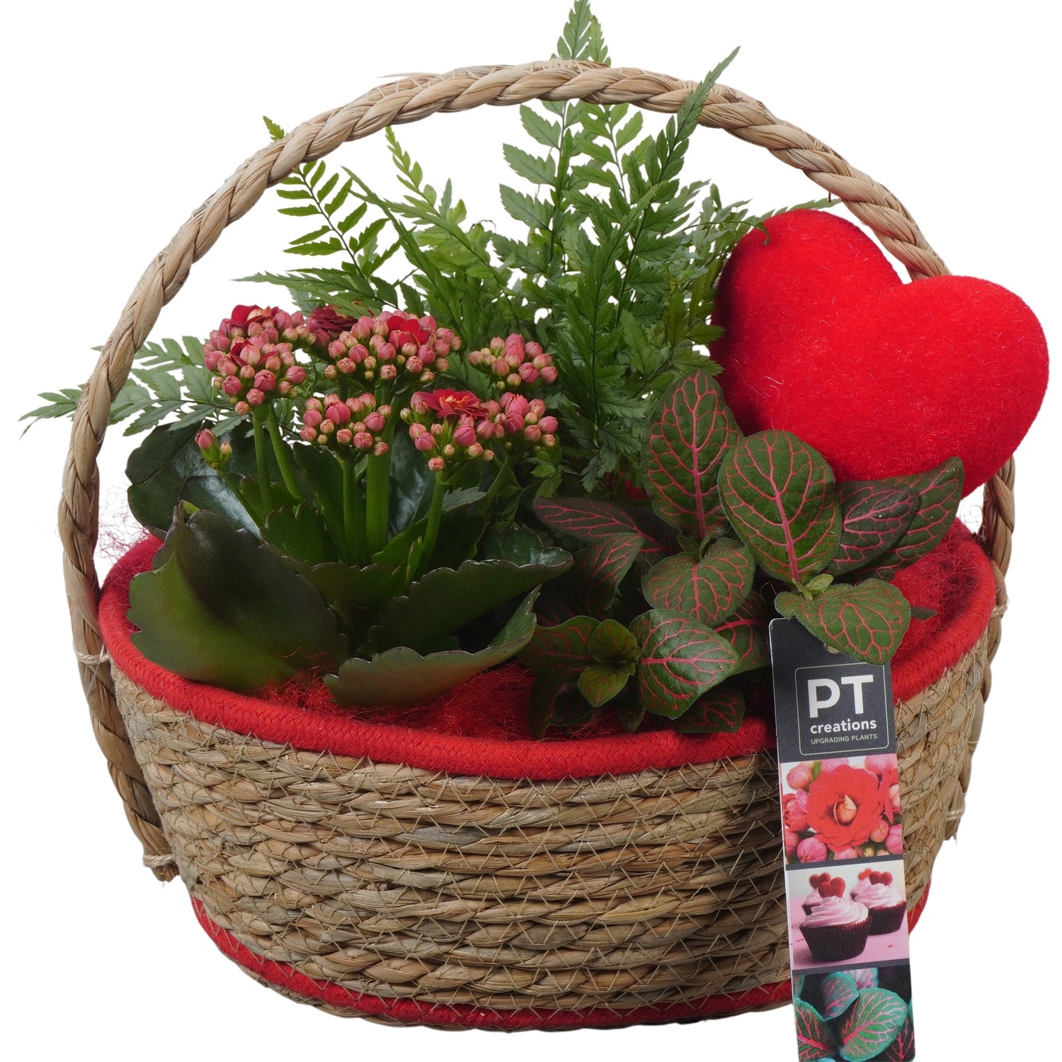 PTVMB2328 Arrangement Valentines-Mothersday in riet mand, D 24