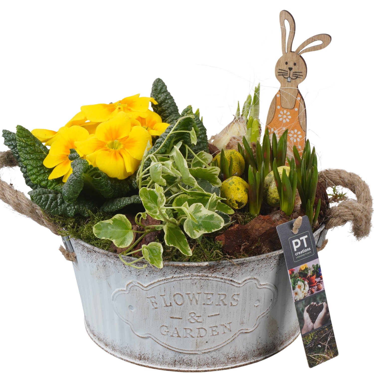 PTBMP5661 Arrangement Easter Bulbs Mix in zink pot, D 22