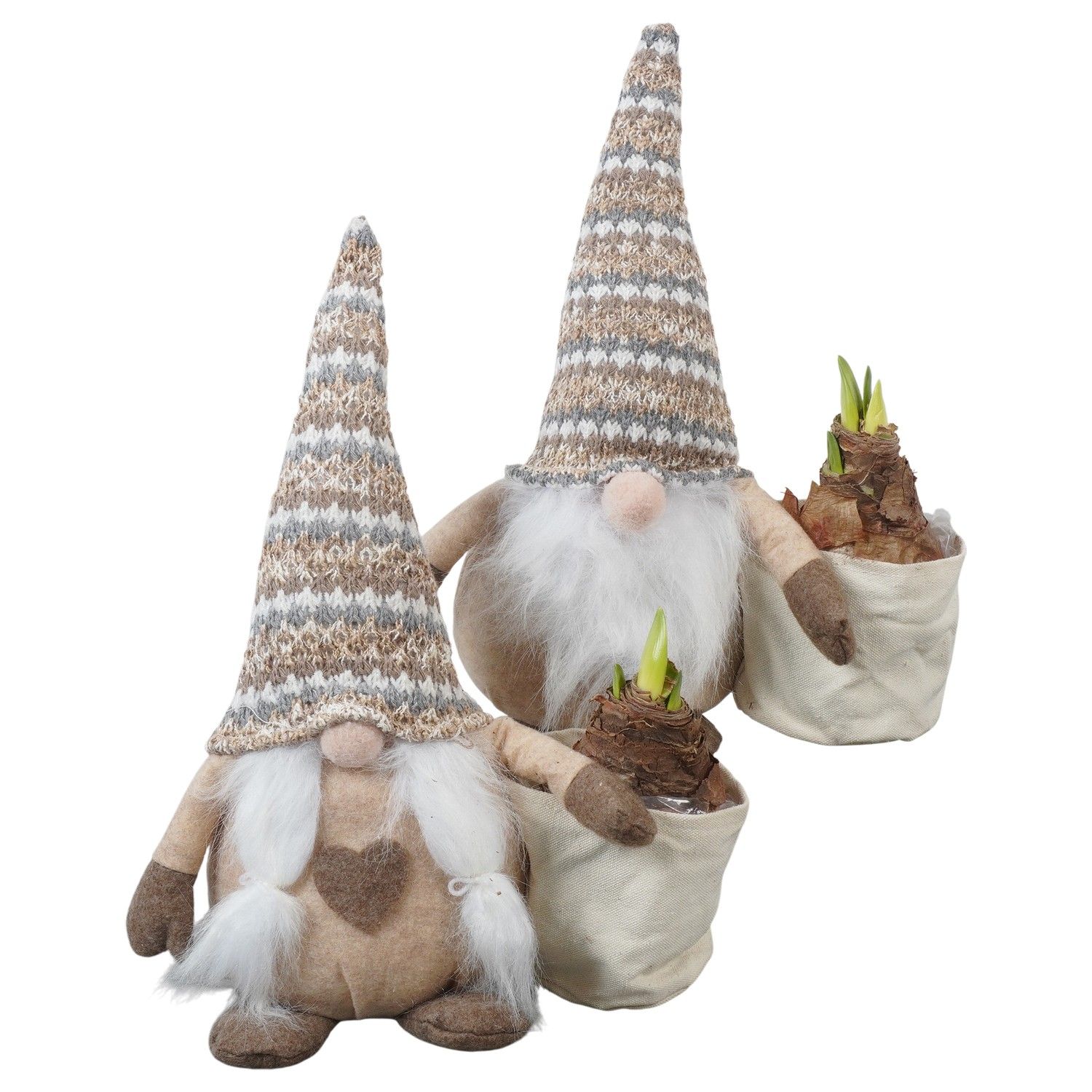 PTACH5912 Arrangement Amaryllis Christmas in stoffen gnome, D 26 cm