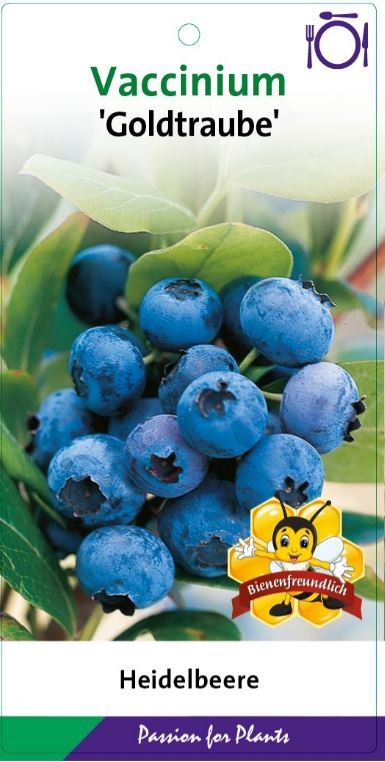 Vaccinium cor. 'Goldtraube' 40-60C5, D 23 cm