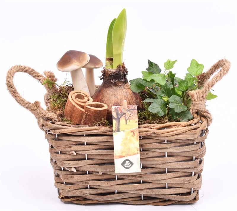 Wilg rechthoek 20x13.5cm, D 20 cm