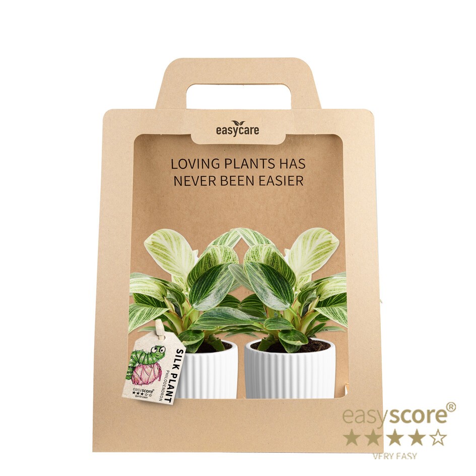 2-Pack Nordic White, Peridot, D 7