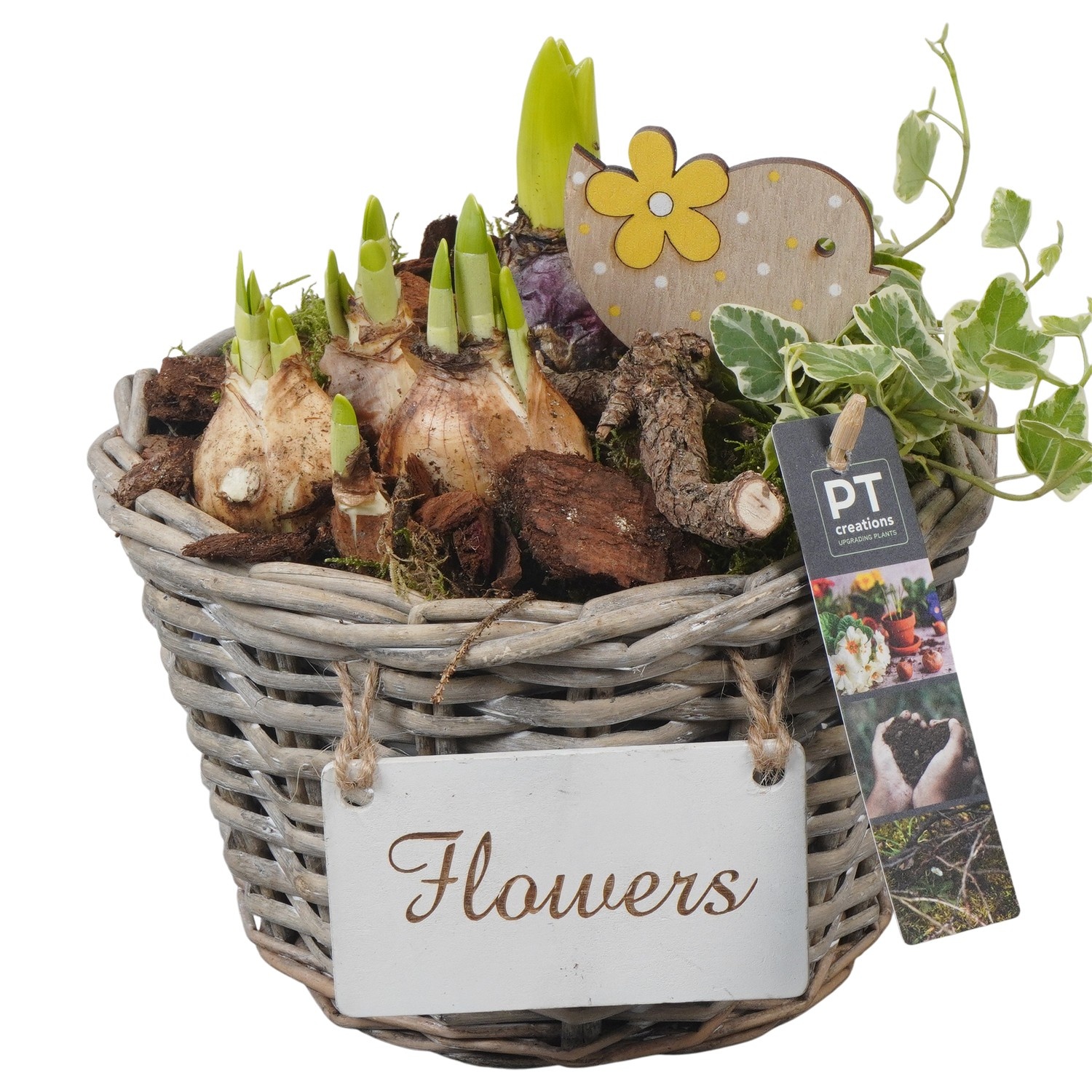 PTBM3842 Arrangement Flower Bulbs Mix in rieten mand, D 20