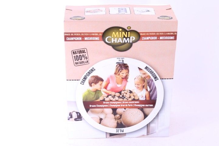 Mini Champ 'Champignon' Bruin, D 14