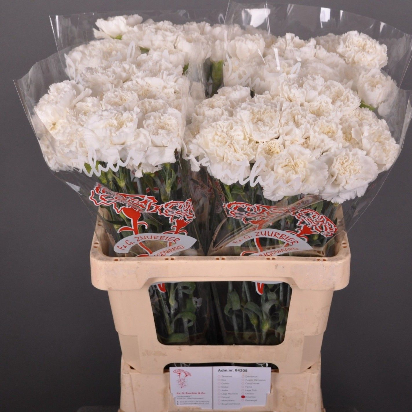 Диантус од. Антарктика, шт.