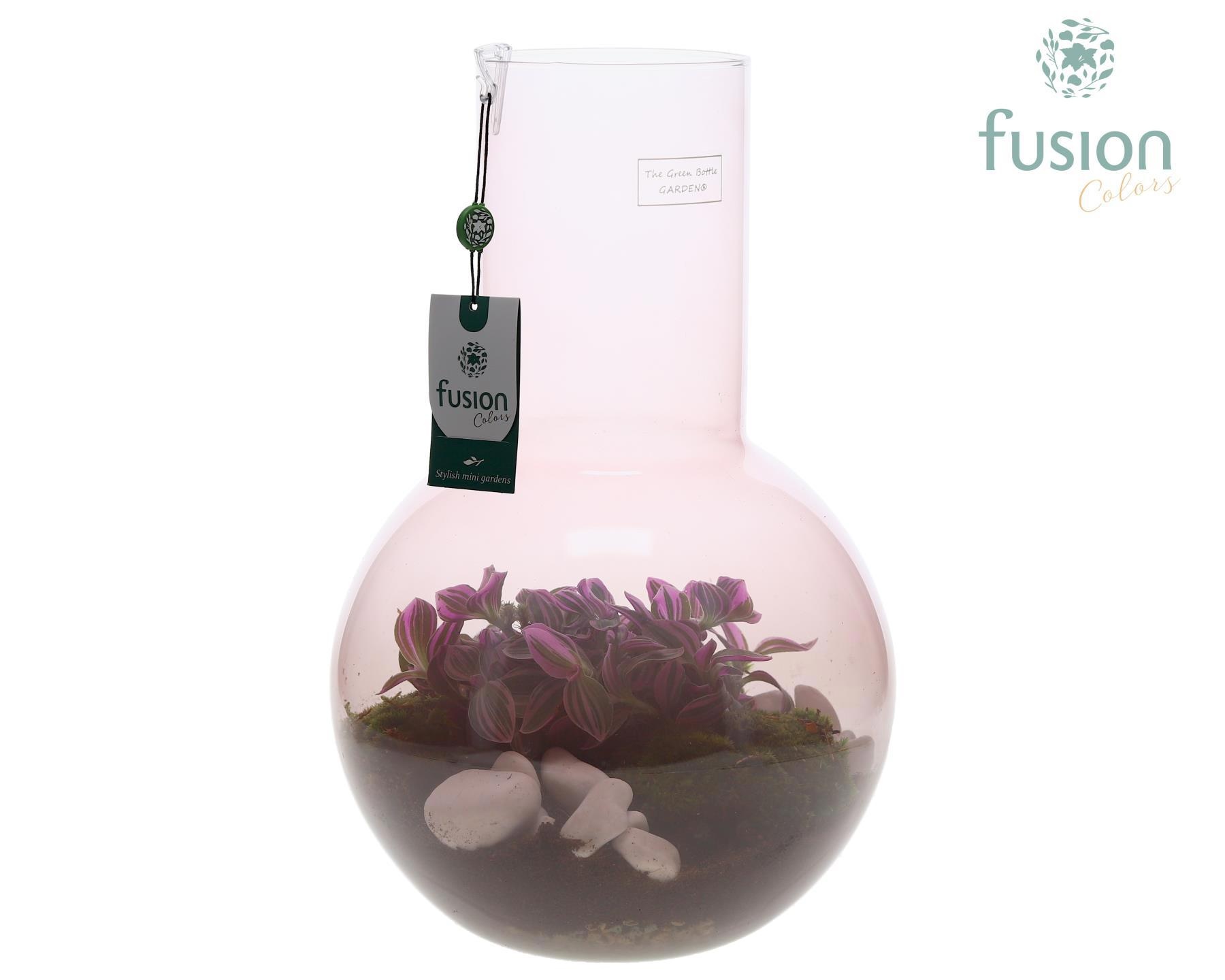 Green Bottle Suzanne Large Smoky Pink met Tradescantia, D 26