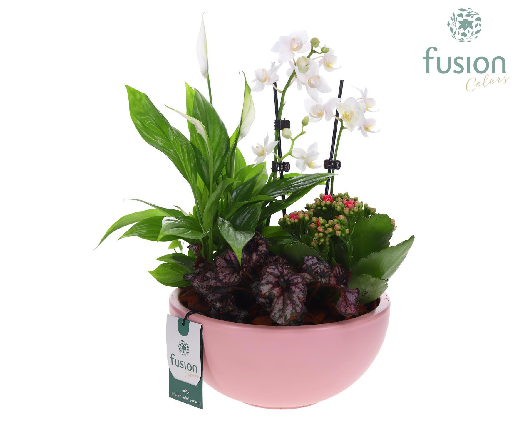 Schaal keramiek Moon Large roze mat Arrangement, D 22