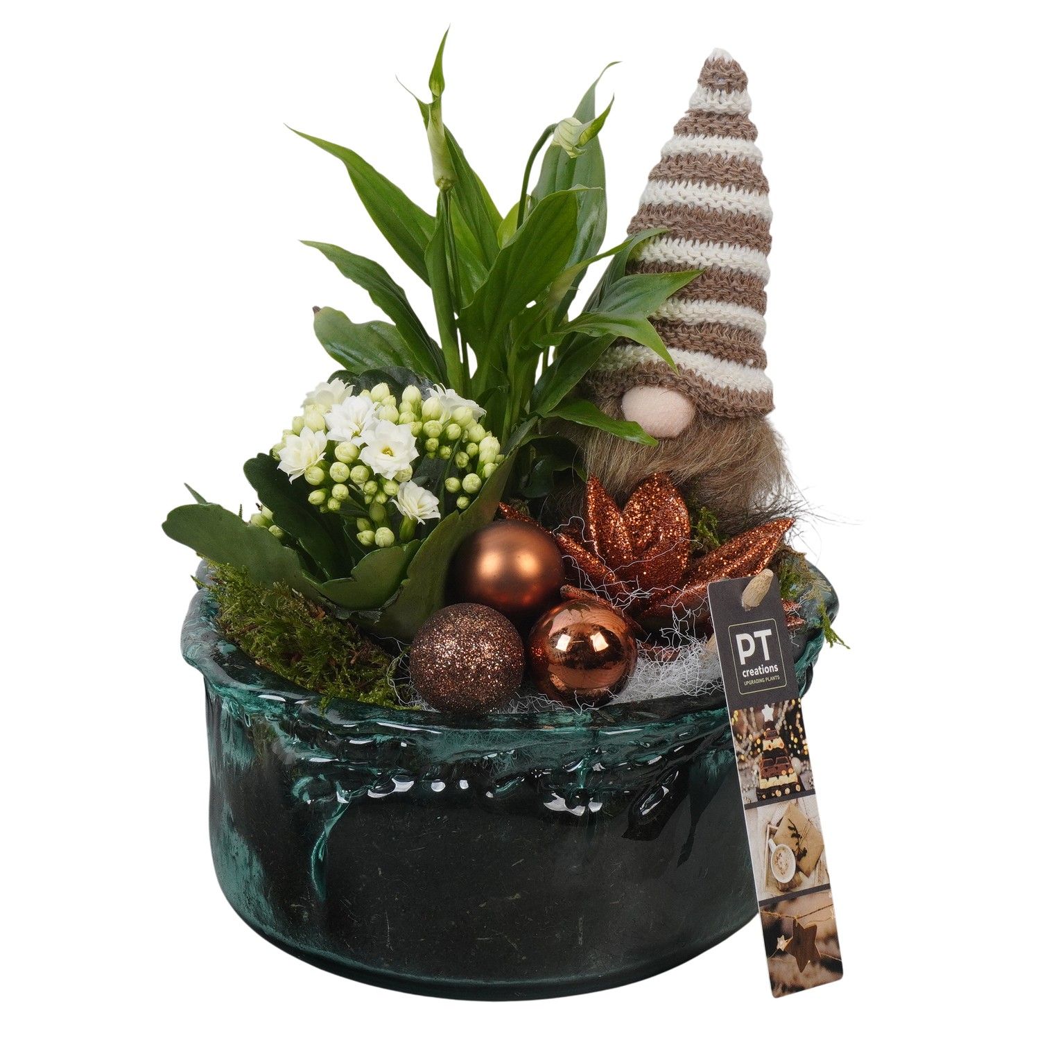 PTCHB9849 Arrangement Christmas Bronze in glas schaal, D 18 cm