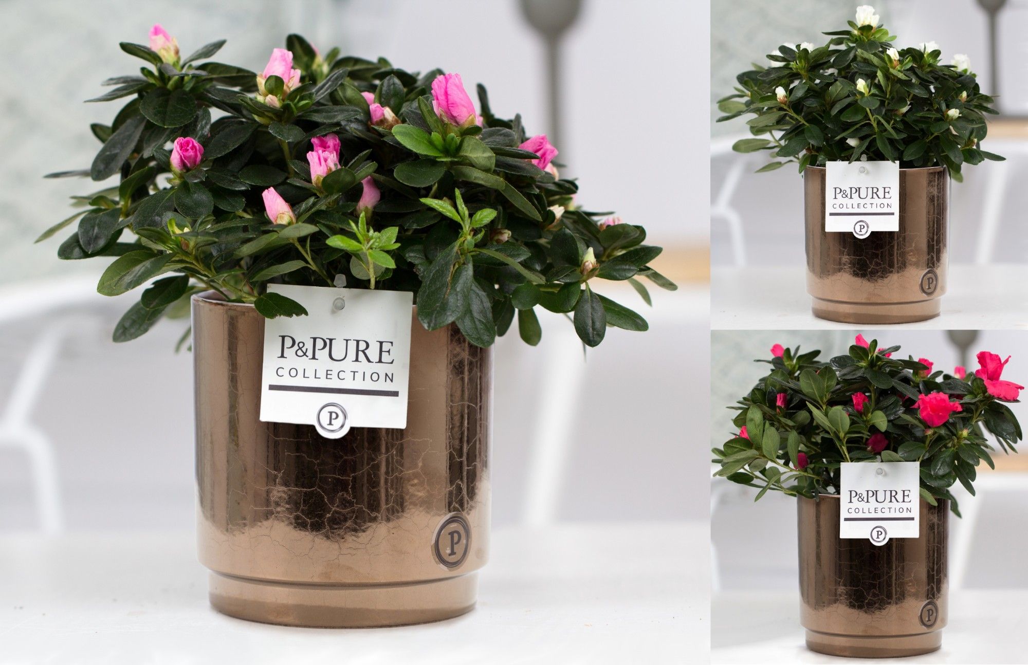 Azalea P&PURE Collection Juliette Goldbronze keramiek, D 12