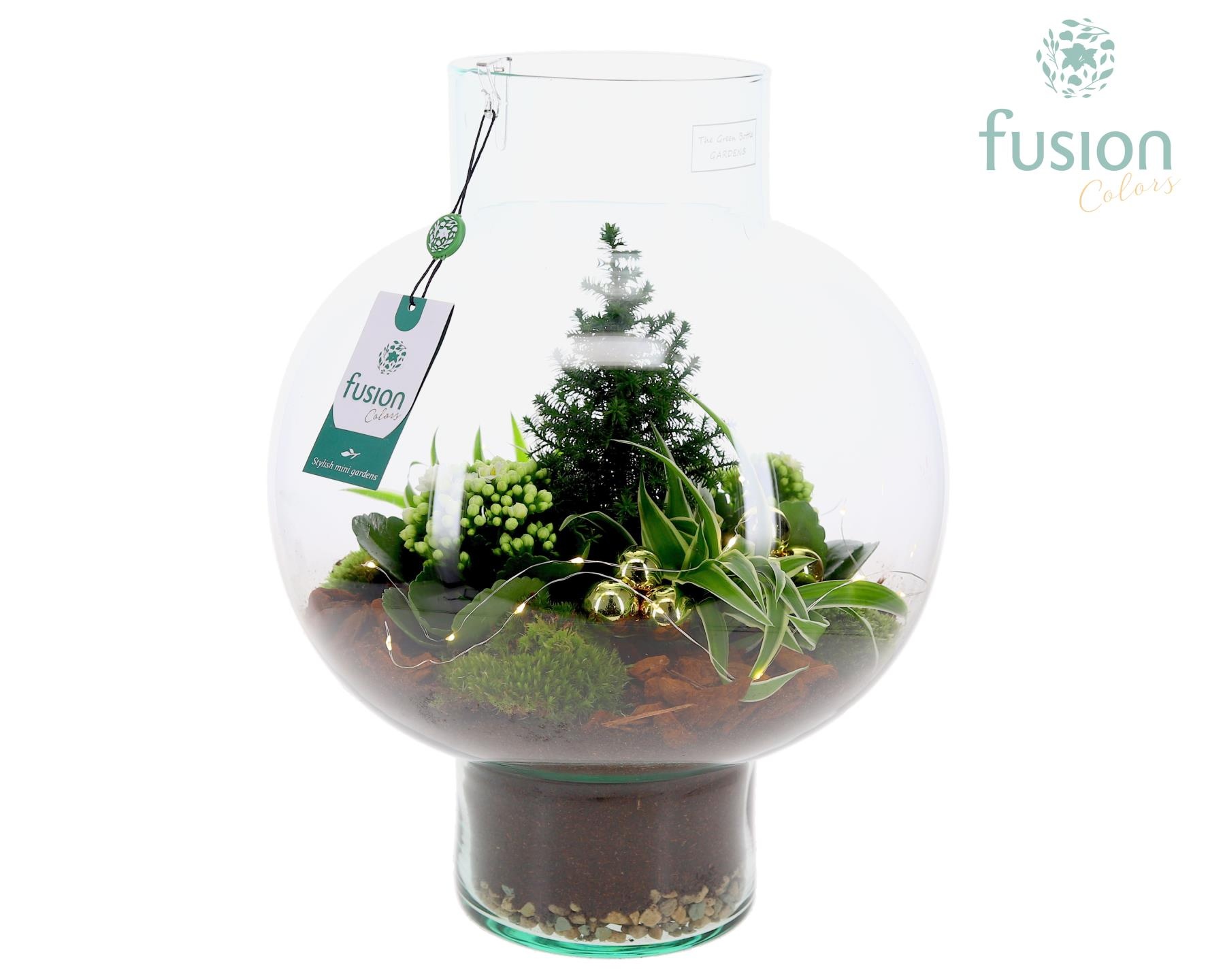 Green Bottle Laura Large met Kerst arrangement met LED, D 31
