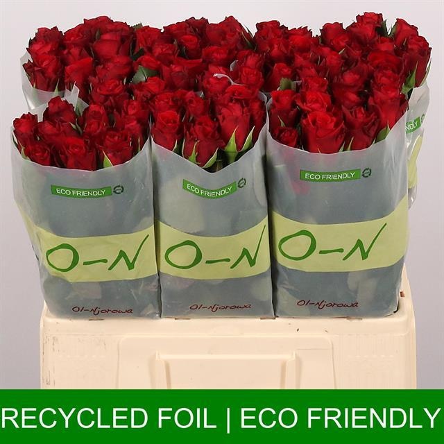 Роза од. Рэд Риббон 60, шт.