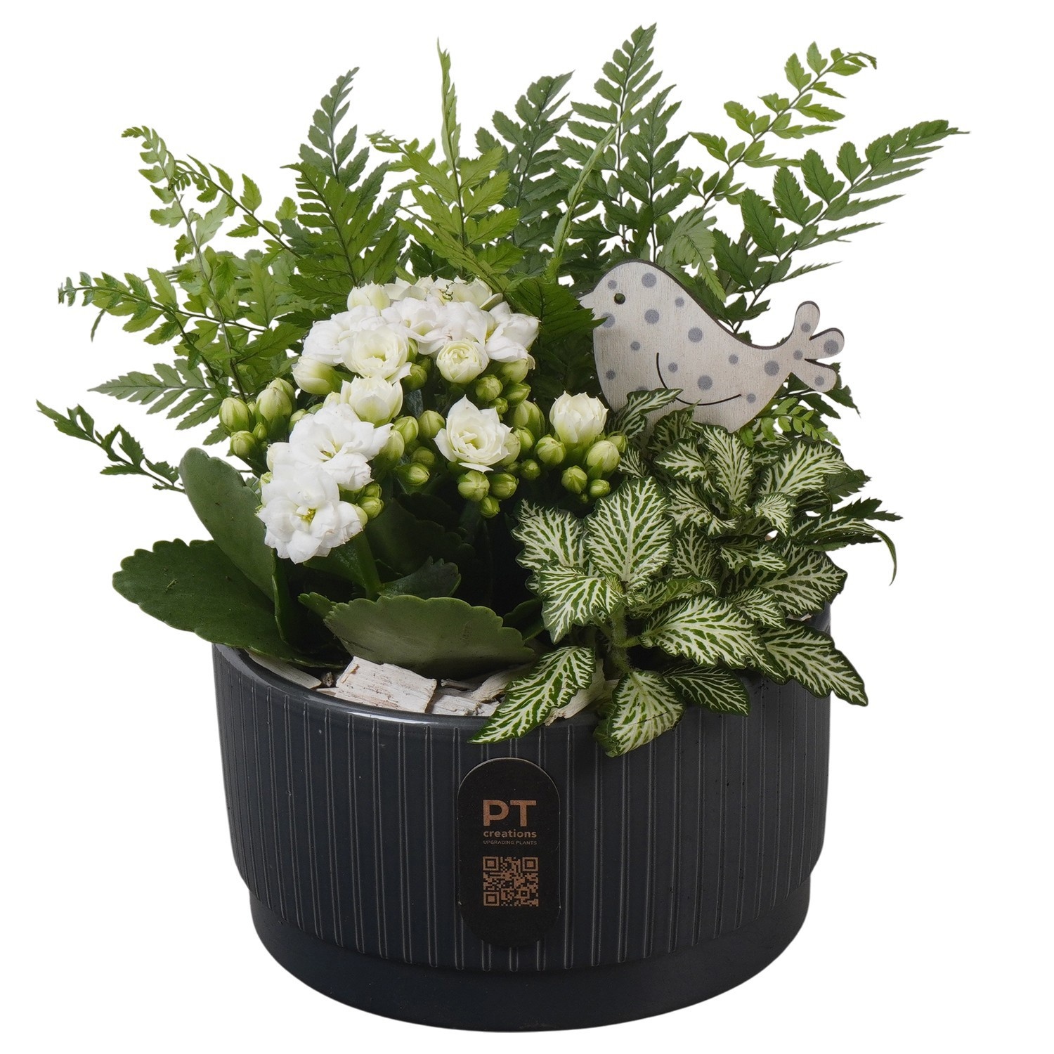 PTIB5112 Arrangement Indoor in keramiek schaal, D 16