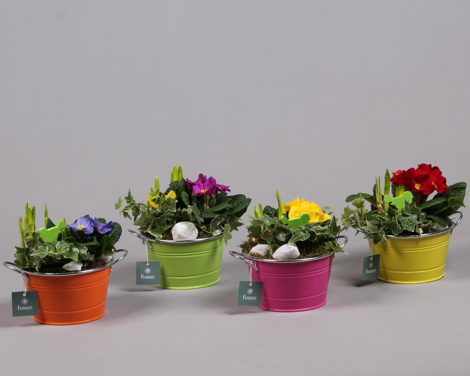 Schaal zink rond Voorjaar met Arrangement verschillende kleuren, D 16