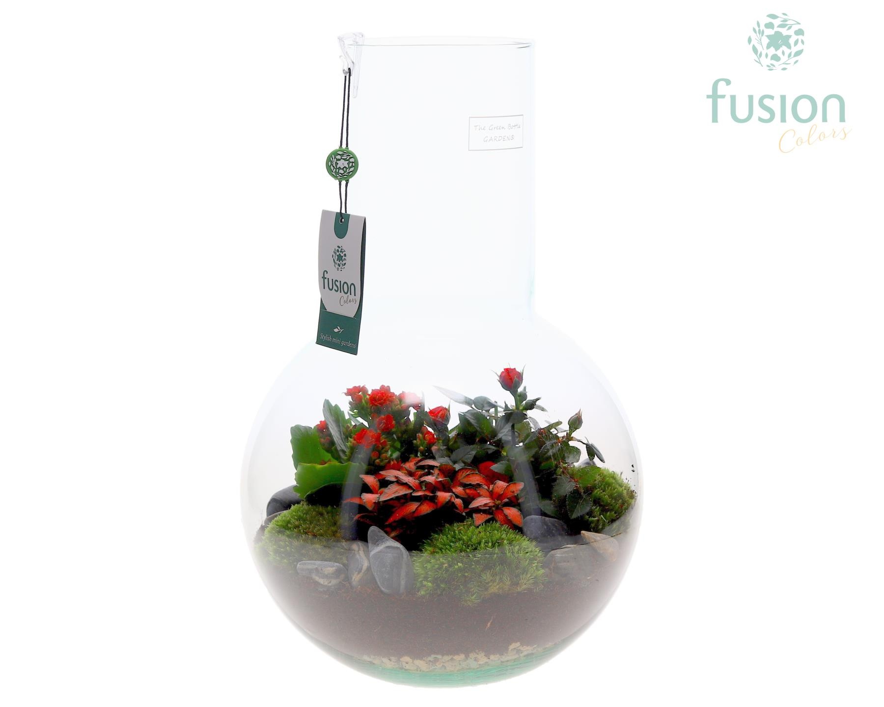 Green Bottle Suzanne Large met arrangement, D 26