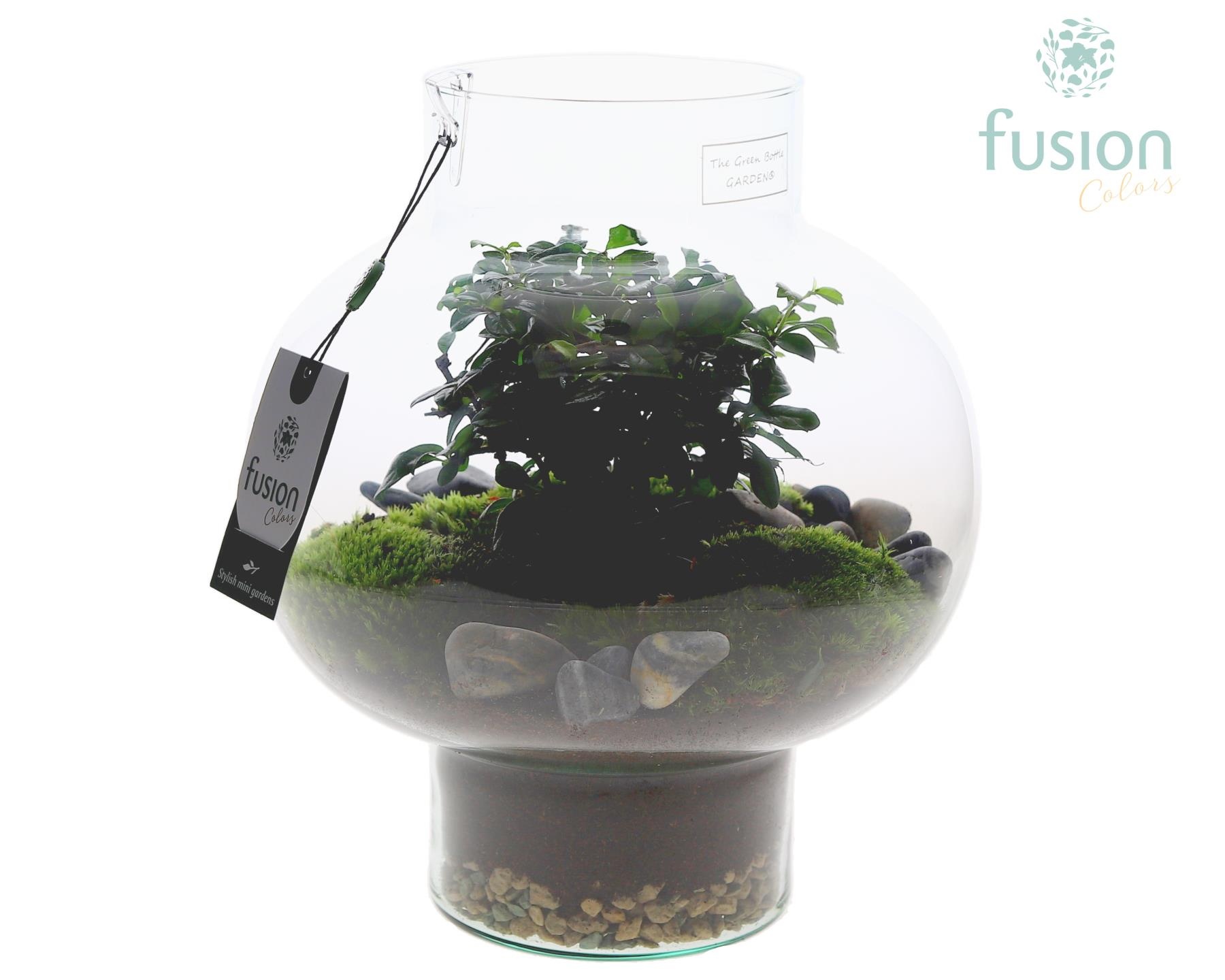 Green Bottle Laura Medium met Bonsai arrangement, D 26