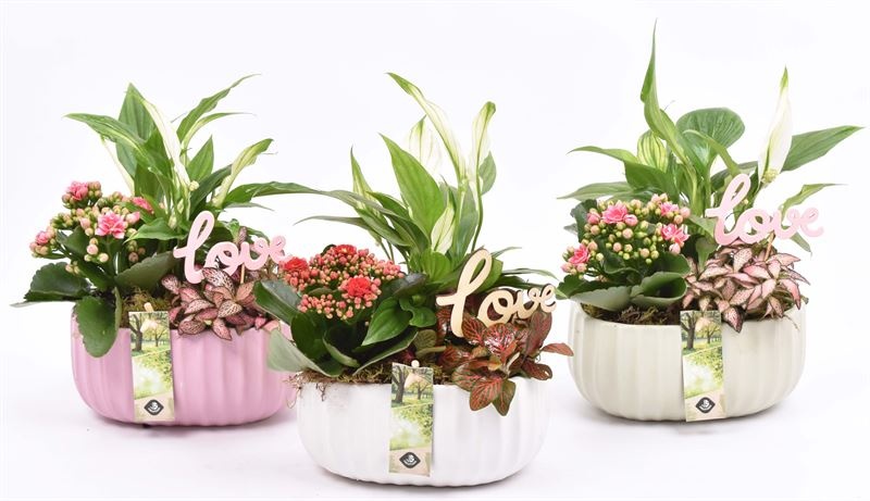 Keramiek ovaal mix kleur 18,5x12cm, D 19