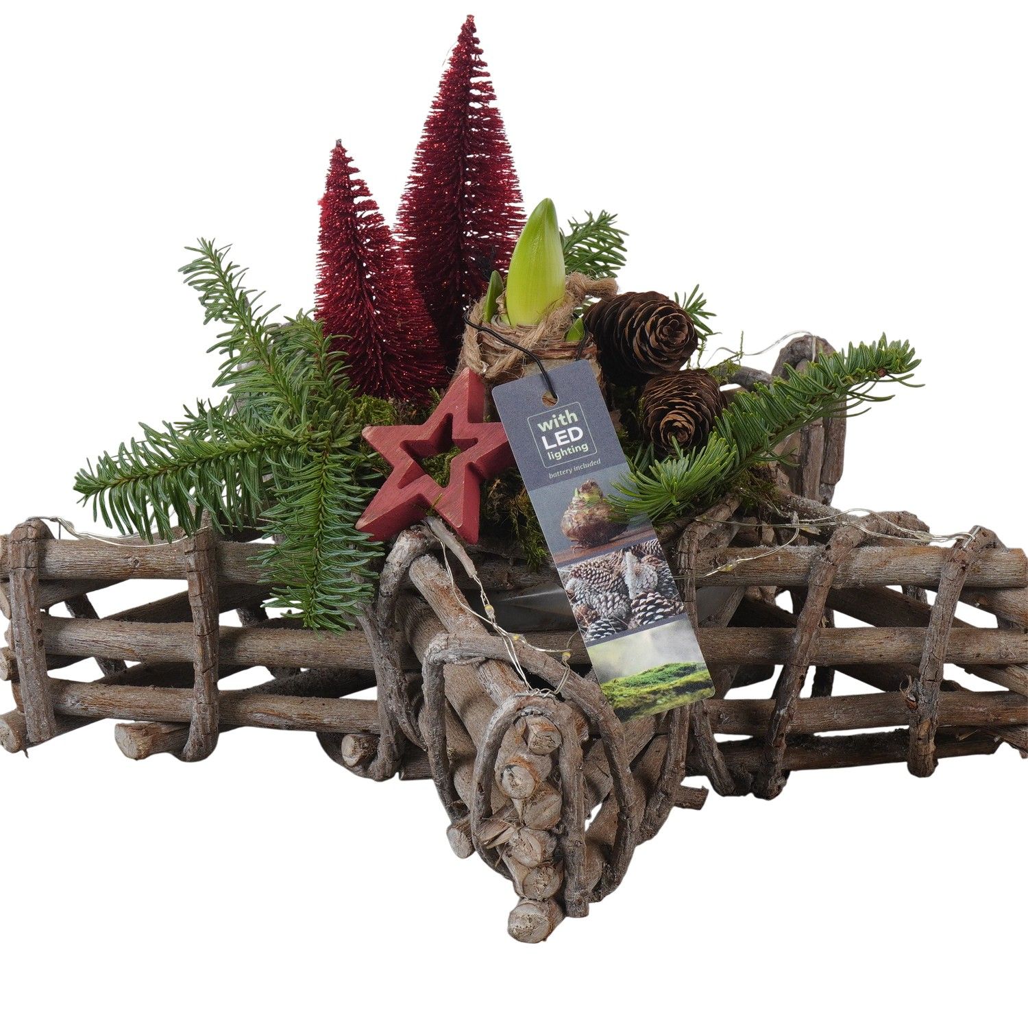 PTACH5886 Arrangement Amaryllis Christmas in houten ster met led, D 33 cm