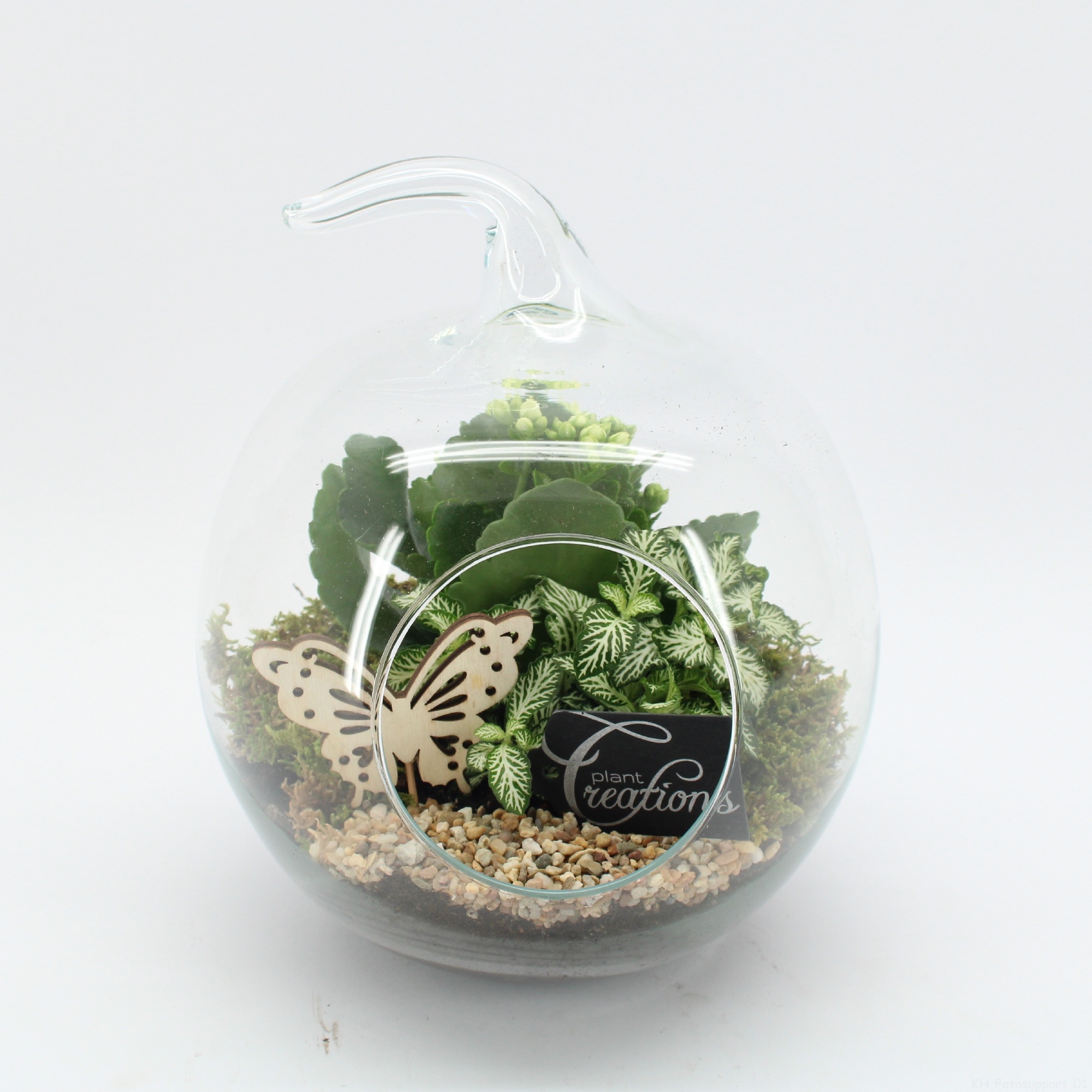 ESCR-2631W Essentials terrarium, D 20