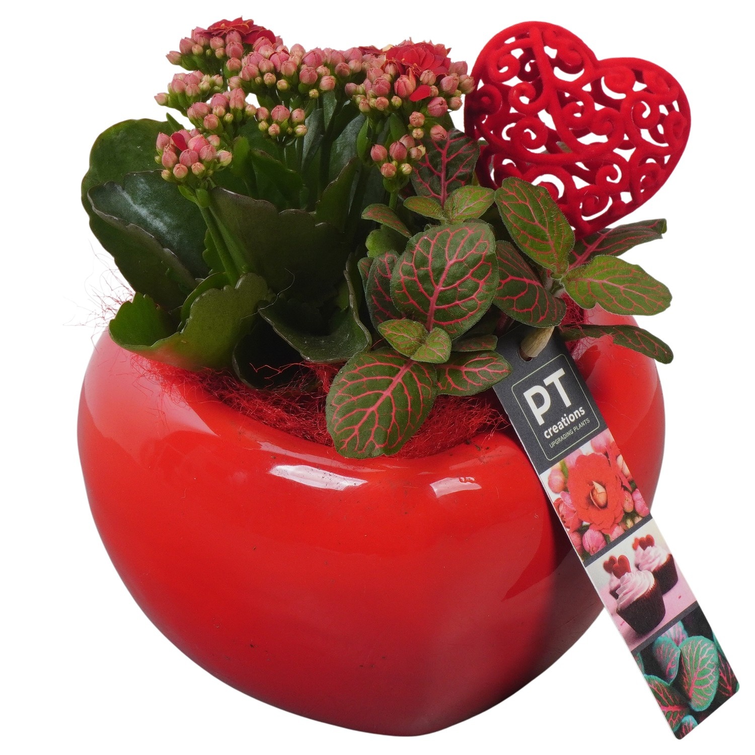 PTVMB2313 Arrangement Valentines-Mothersday in keramiek hart, D 15