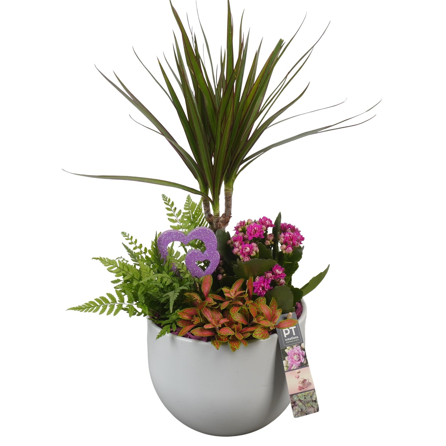 PTVMB2224 Arrangement Valentines-Mothersday in keramiek sierpot, D 19