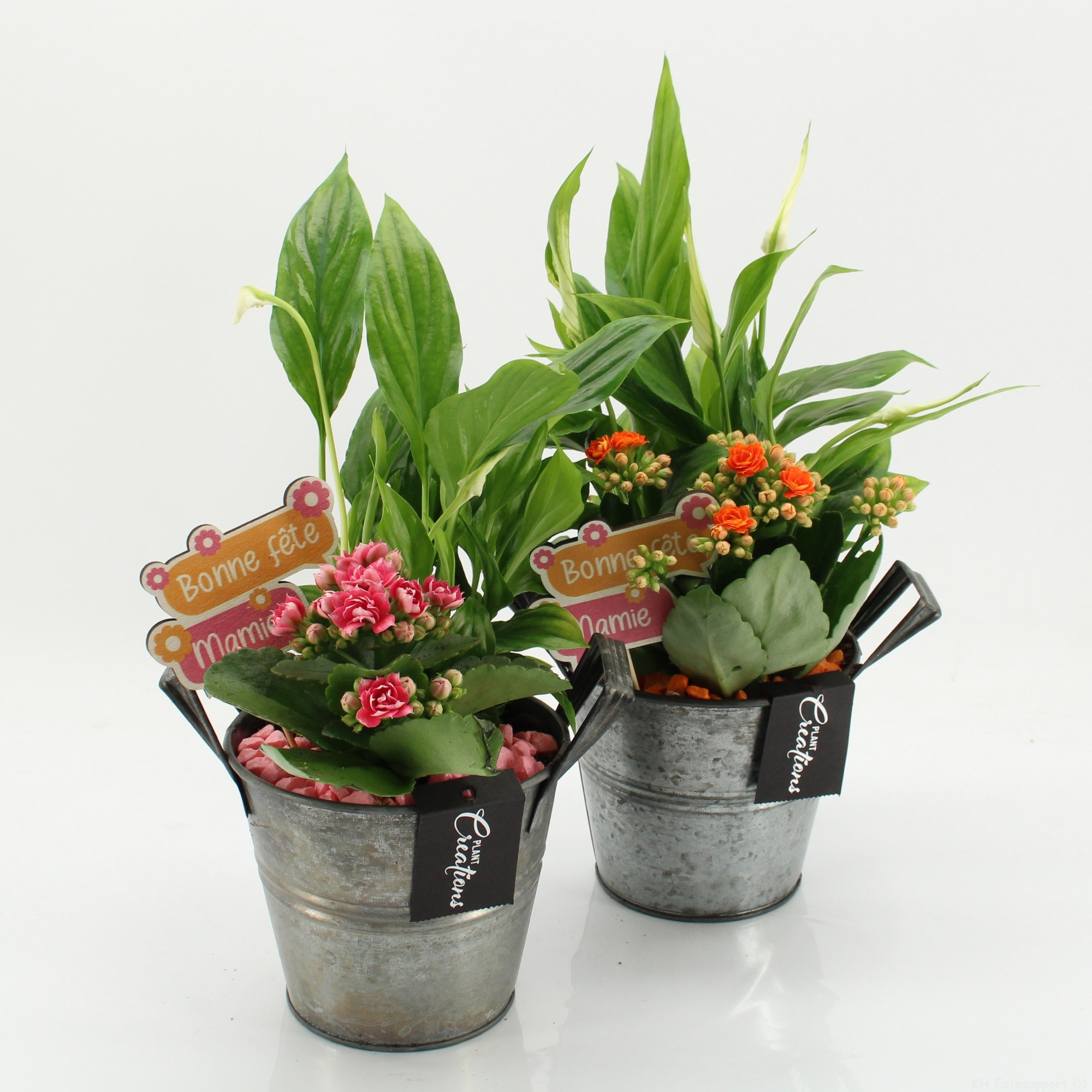 FGCR-2625 Fête des grands-mères, D 14